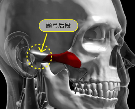 MACS 的特别之处