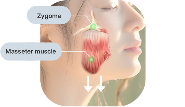 Upward Fixation Point
