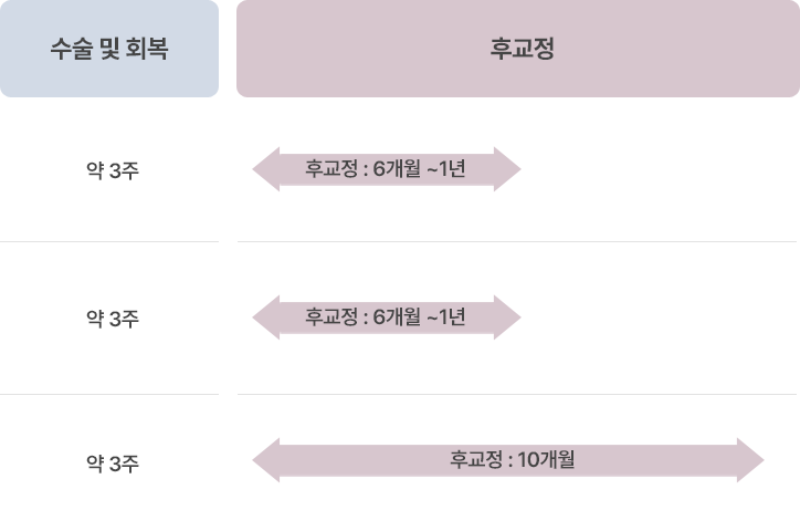 수술 시기별 양악수술 종류