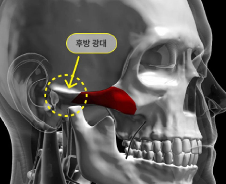 맥스의 특별함 디테일이 다른 맥스